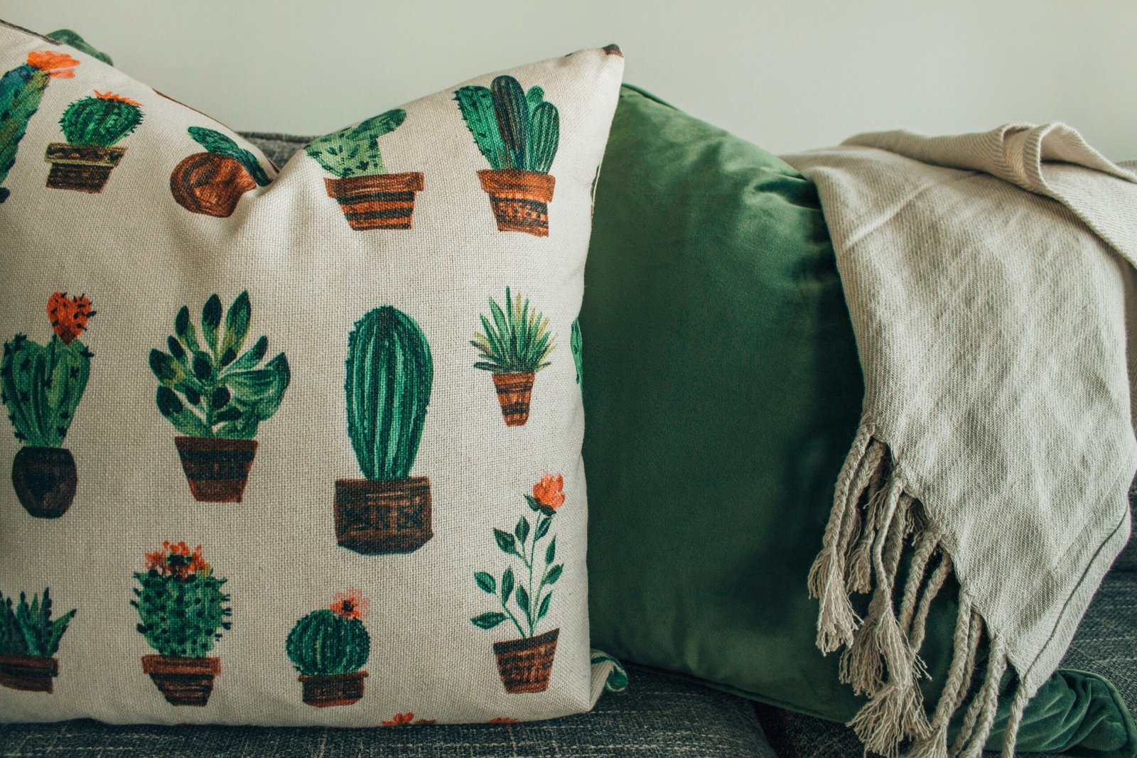designecologist z4t4ojq2hyi unsplash